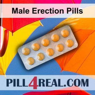 Male Erection Pills 597