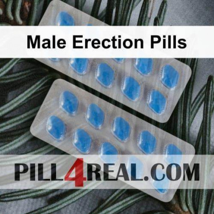Male Erection Pills 632