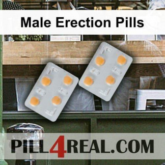 Male Erection Pills 645