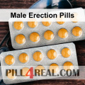 Male Erection Pills 670