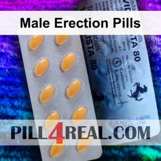 Male Erection Pills 676