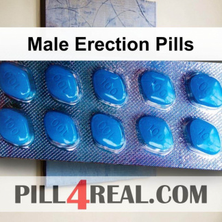 Male Erection Pills 697