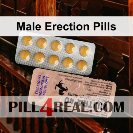 Male Erection Pills 702