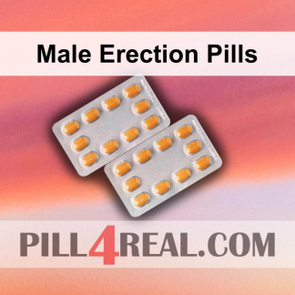 Male Erection Pills 746