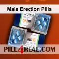 Male Erection Pills 797