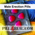 Male Erection Pills 872
