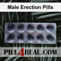 Male Erection Pills 894