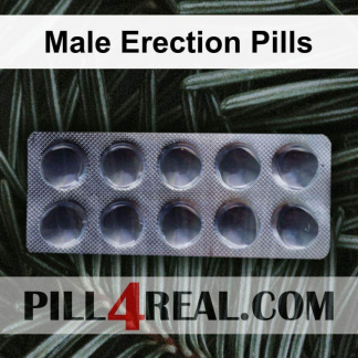 Male Erection Pills 894