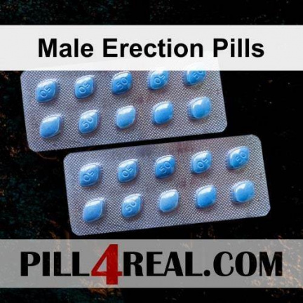 Male Erection Pills 908