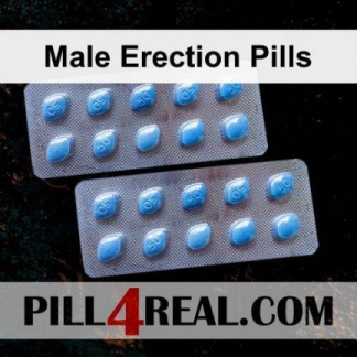 Male Erection Pills 908