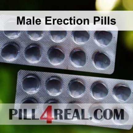 Male Erection Pills 924