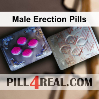 Male Erection Pills 953