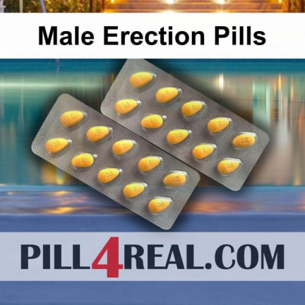 Male Erection Pills 966