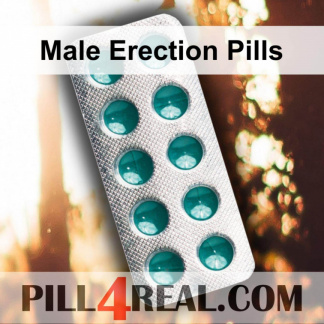 Male Erection Pills 974
