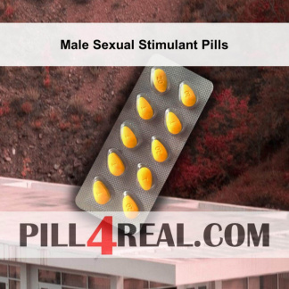 Male Sexual Stimulant Pills 246