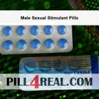 Male Sexual Stimulant Pills 336