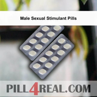 Male Sexual Stimulant Pills 798