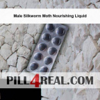 Male Silkworm Moth Nourishing Liquid 458