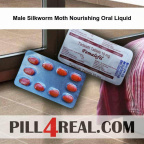 Male Silkworm Moth Nourishing Oral Liquid 451