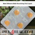 Male Silkworm Moth Nourishing Oral Liquid 546