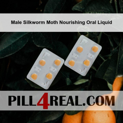 Male Silkworm Moth Nourishing Oral Liquid 823