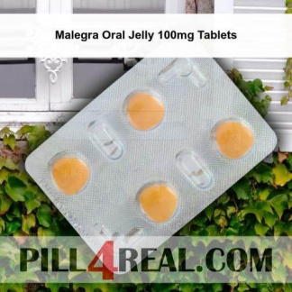Malegra Oral Jelly 100mg Tablets 360