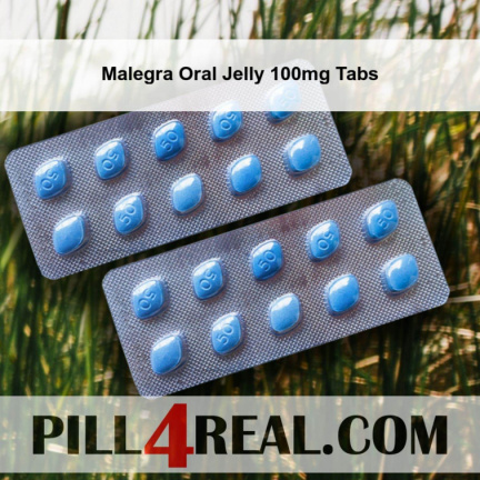 Malegra Oral Jelly 100mg Tabs 730