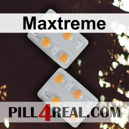 Maxtreme 837