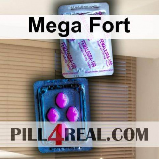 Mega Fort 076