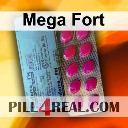 Mega Fort 147