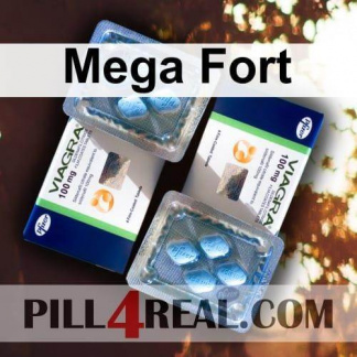 Mega Fort 161