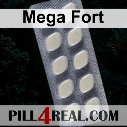 Mega Fort 181
