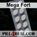 Mega Fort 181