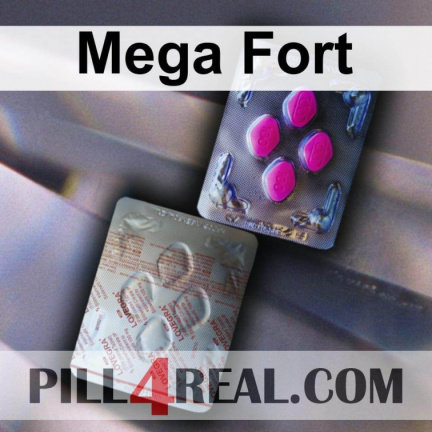 Mega Fort 202