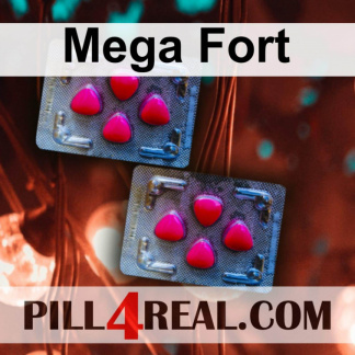Mega Fort 212