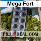 Mega Fort 262