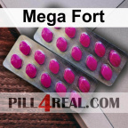 Mega Fort 290