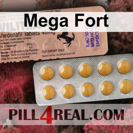 Mega Fort 427