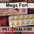Mega Fort 427