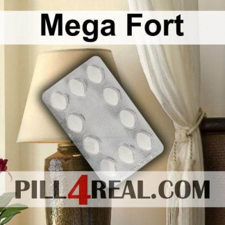 Mega Fort 533