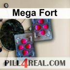 Mega Fort 537