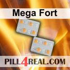 Mega Fort 595