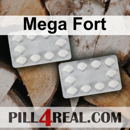 Mega Fort 641