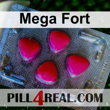 Mega Fort 700