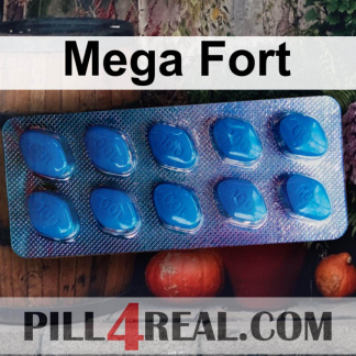 Mega Fort 704
