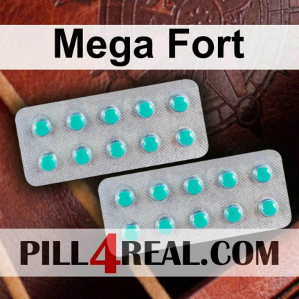 Mega Fort 707