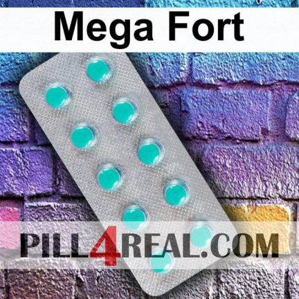 Mega Fort 723