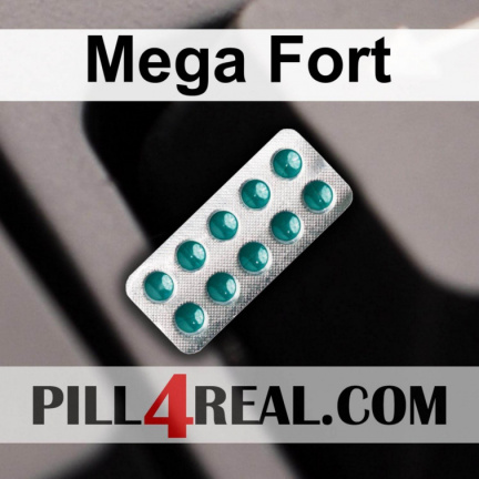 Mega Fort 827