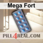 Mega Fort 857
