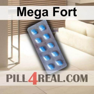 Mega Fort 857
